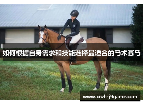 如何根据自身需求和技能选择最适合的马术赛马 如何根据自身需求和技能选择最适合的马术赛马