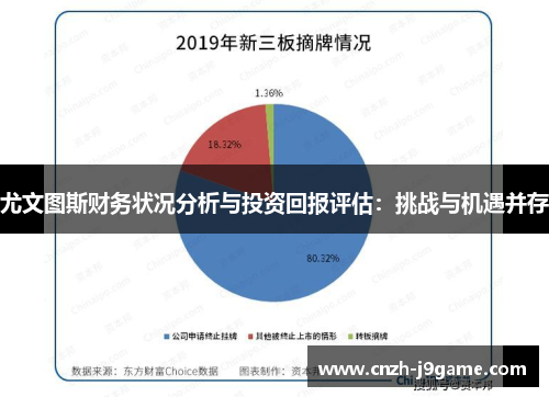 尤文图斯财务状况分析与投资回报评估:挑战与机遇并存 尤文图斯财务状况分析与投资回报评估:挑战与机遇并存